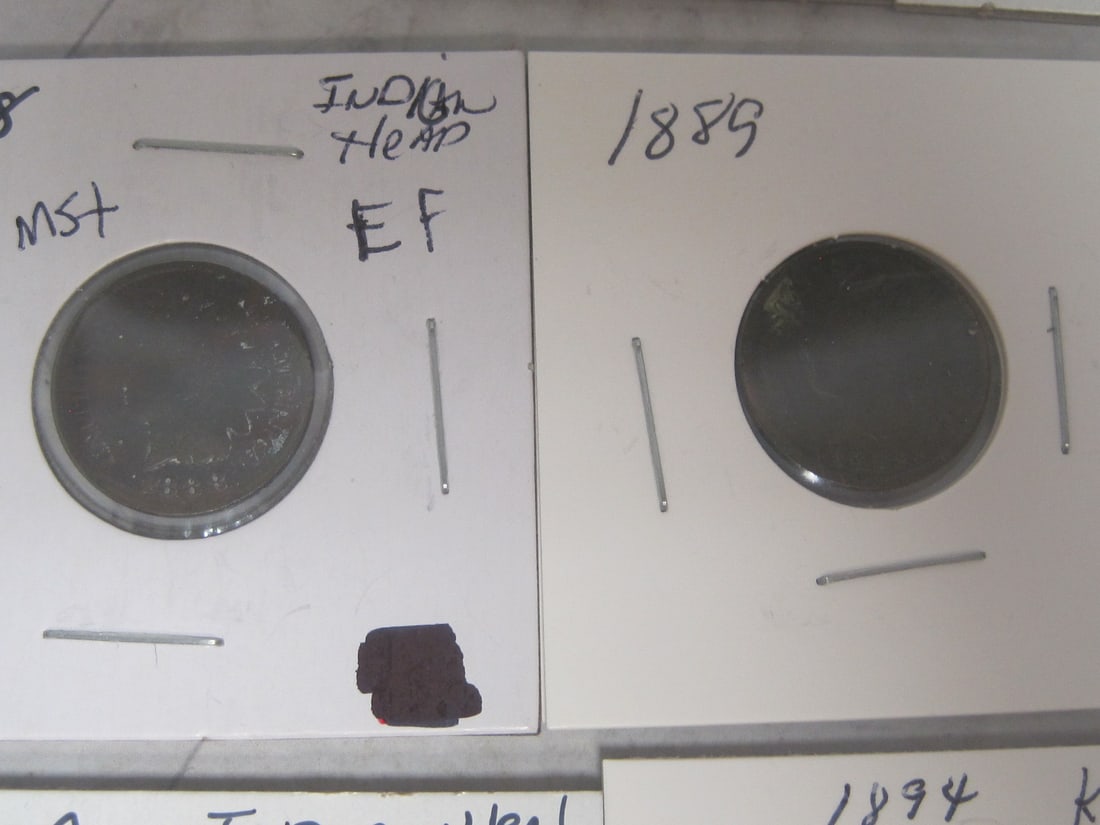 Lot of 8 Indian Head Cents - 3