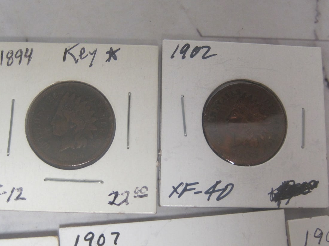 Lot of 10 Indian Head Cents - 2
