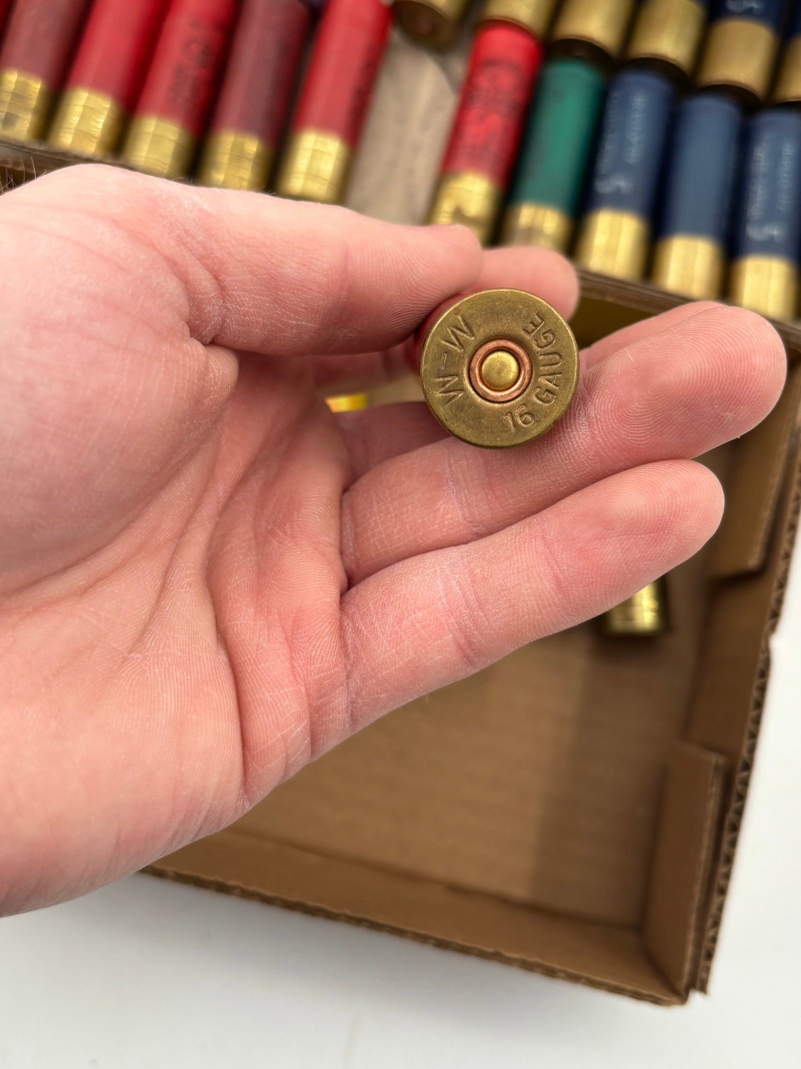 42rds. of Various 16 GA. And 8rds. of 20 GA. Shotgun Ammunition - 5