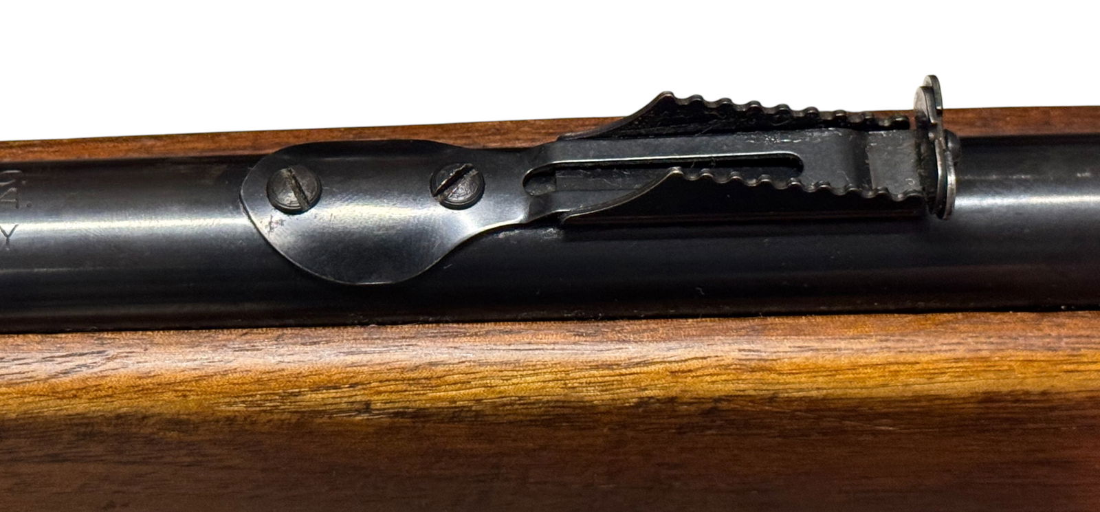Mossberg Model 151M-C .22 LR Semi-Automatic Rifle - 10