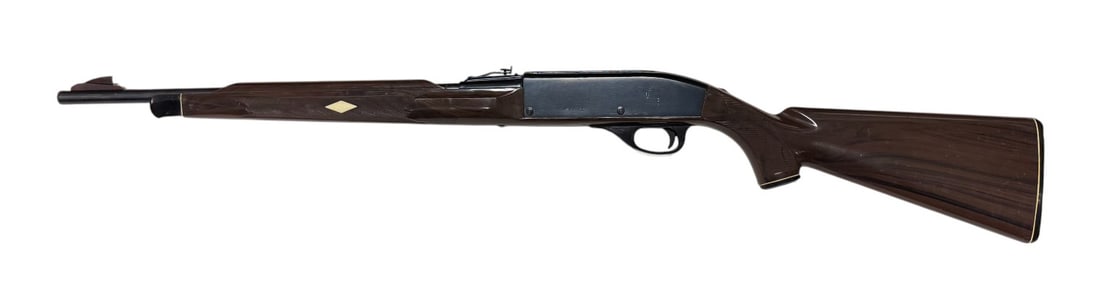 1964 Remington Nylon 66 .22 LR Semi-Automatic Rifle (1 of 17)
