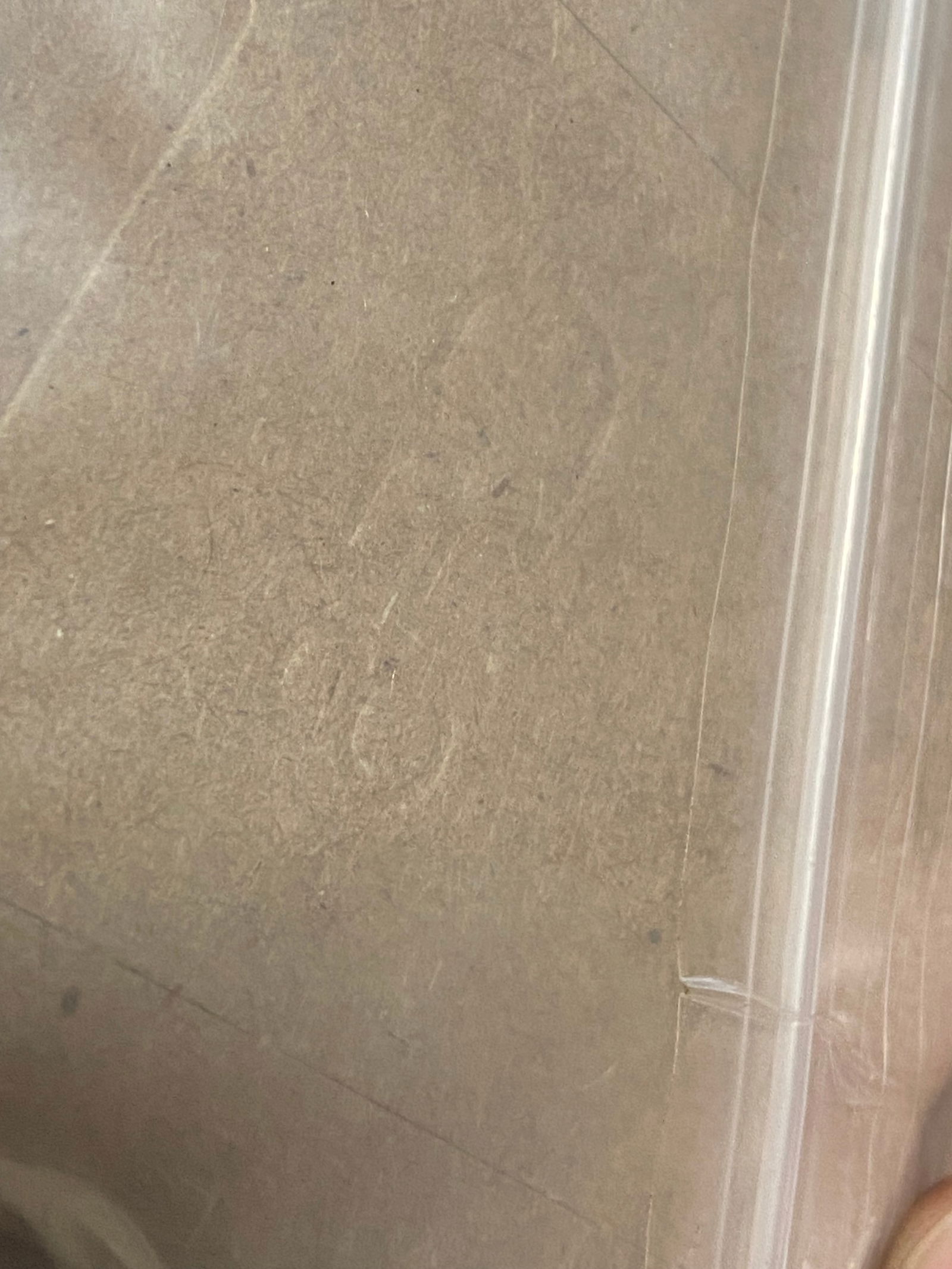 Large lot of M1 Garand Supplies - Sling, Enbloc Clips, Manual, Cleaning Kit, Bandoleer & More - 19