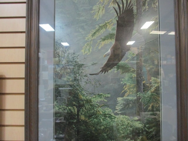 Framed and Matted "Morning Flight" by Ron Parker Print - 3