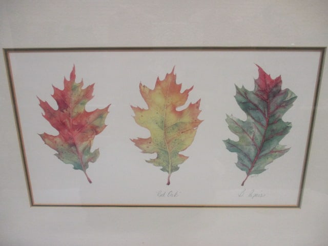 Framed/Matted Leaf Print - 2