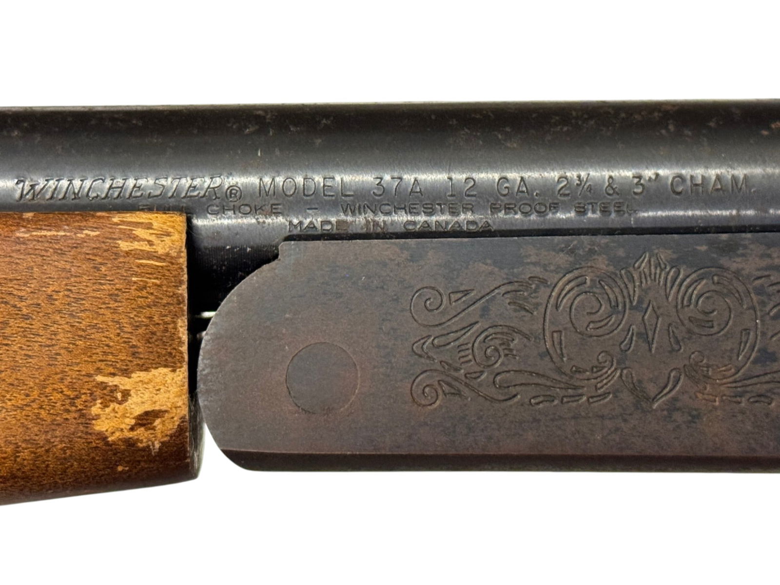 Winchester Model 37A Single Shot 12 GA. Shotgun - 4
