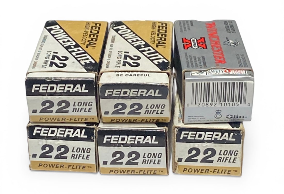 NIB 300rds. Of Various .22 LR Ammunition - 2