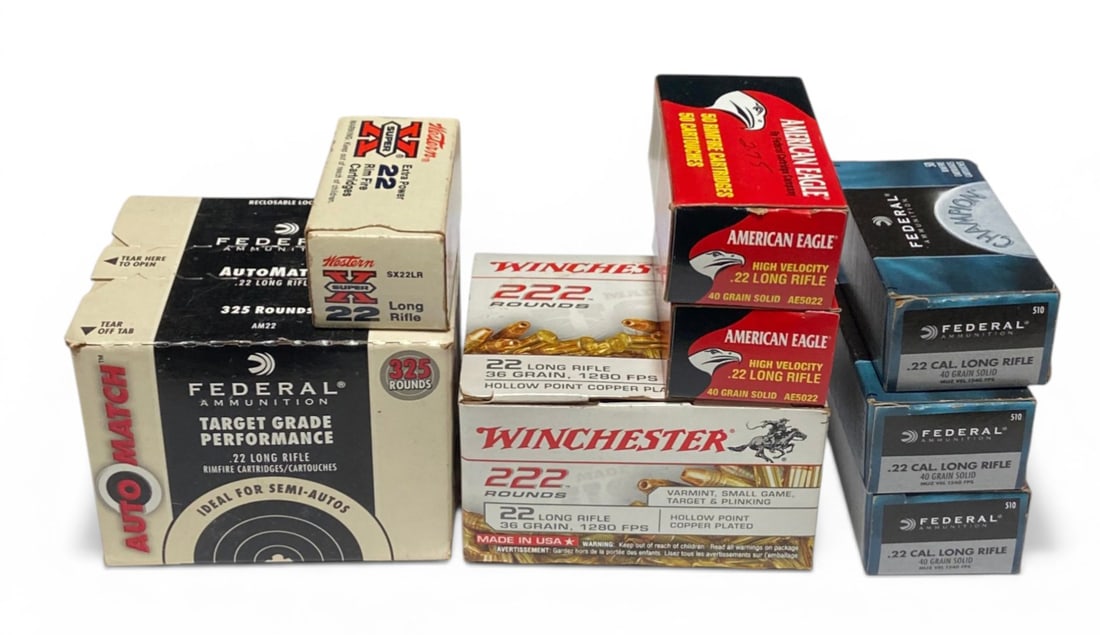 Approx. 725rds. Of .22 LR Ammunition: See photos 