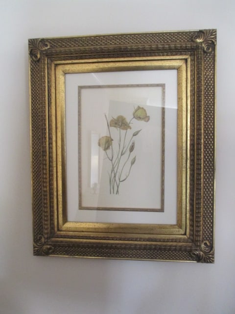 "San Diego Mariposa Calochortus Weedii" Botanical Print by Mary Vaux Walcott: Framed and matted 19" x 23" 
