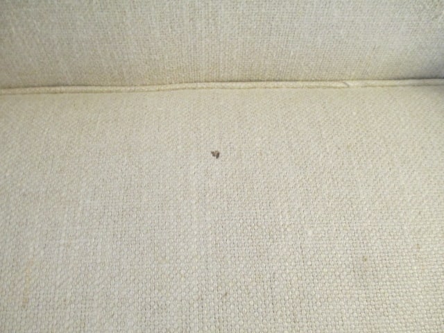 Professionally Tailored Rolled Arm Sofa with Accent Pillows - 7