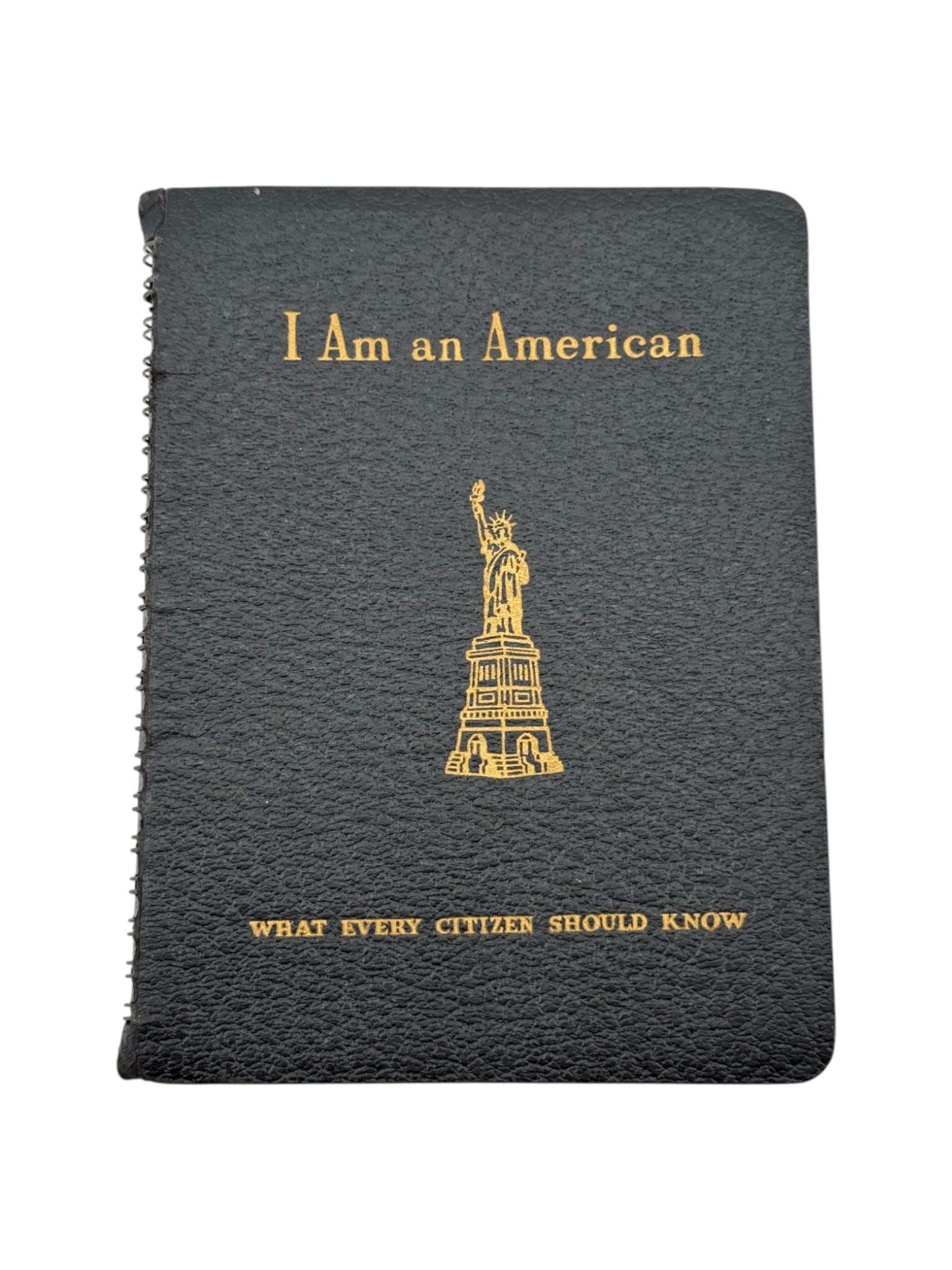 I'm An American Citizen Book: See Photos 
