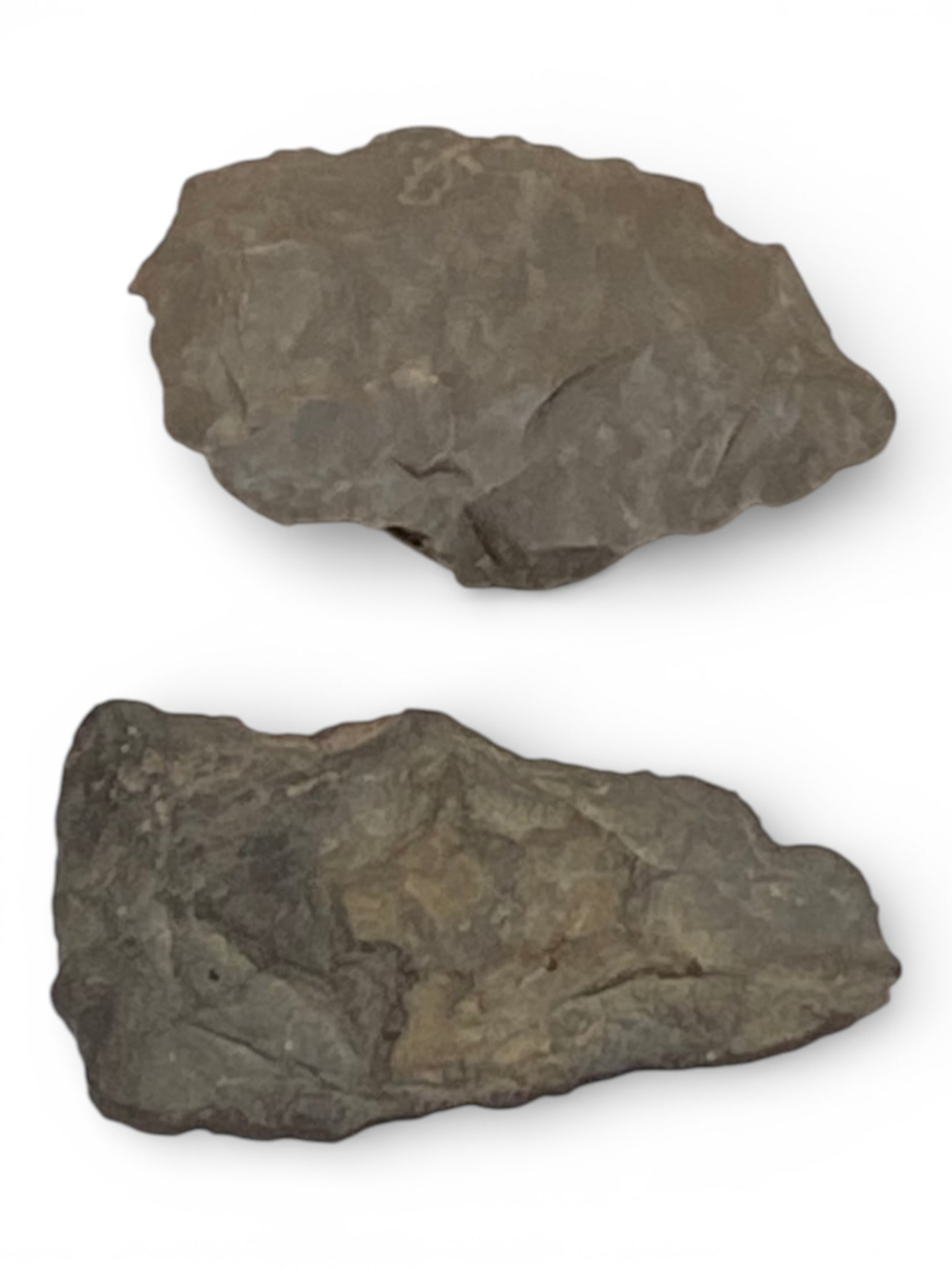 (2) Native American Spear Points Found in Asheville NC: See Photos