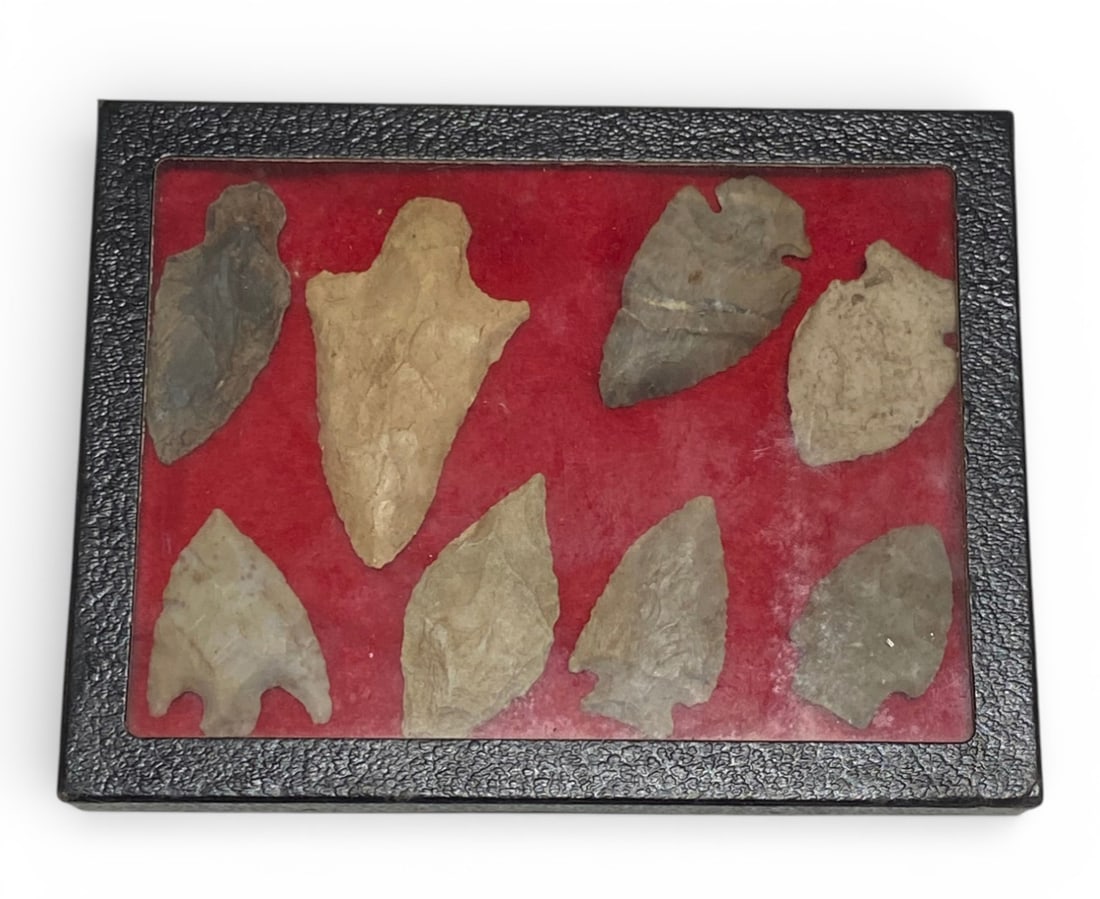 (8) Native American Artifact Spear Points in Riker Case: See Photos 