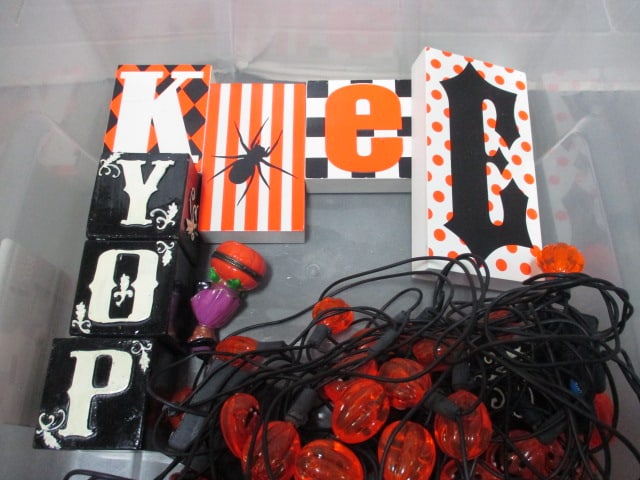 Halloween Grouping - 6