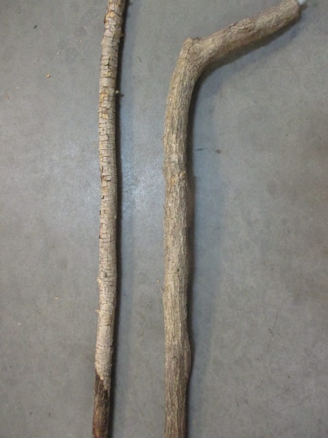 8 Handmade Canes of Various Trees, Carving, lengths and shapes - 4