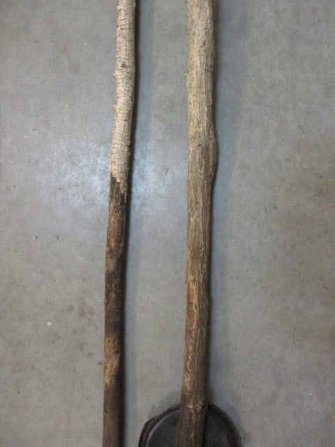 8 Handmade Canes of Various Trees, Carving, lengths and shapes - 5