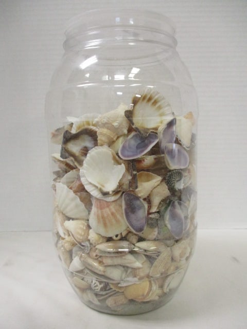 Plastic Jar w/Seashells: . 