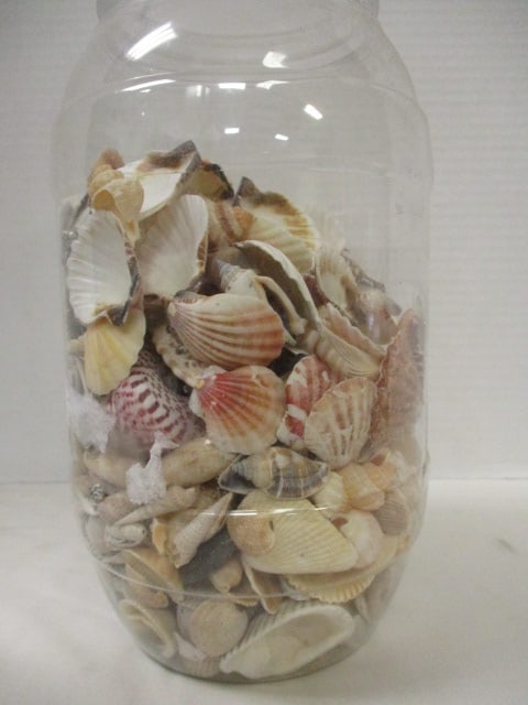 Plastic Jar w/Seashells - 2