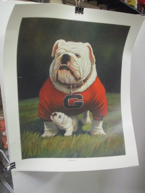 Georgia Bulldogs Stadium Seat, Cooler, 2 Posters - 13