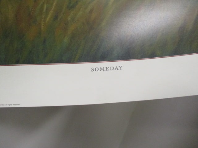 Georgia Bulldogs Stadium Seat, Cooler, 2 Posters - 14