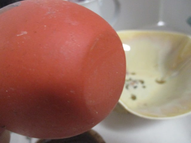 Pottery Plate, Bird Hook, Misc. - 5