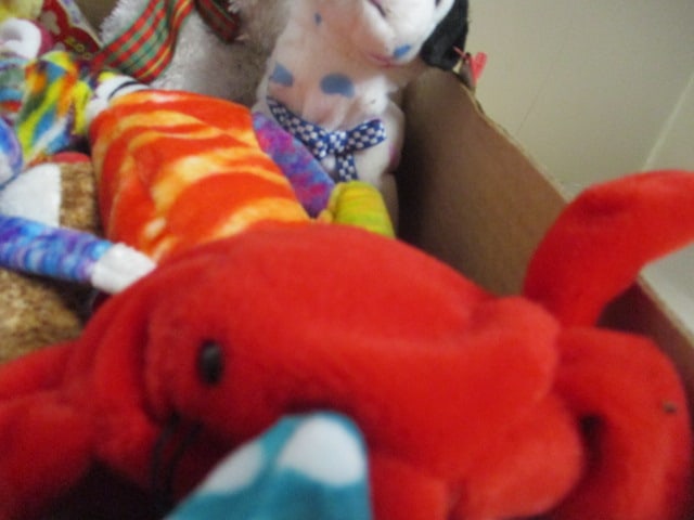 Ty Beanie Babies-Asst. Reindeer, Cow, Dizzy, Bananas, etc. - 6