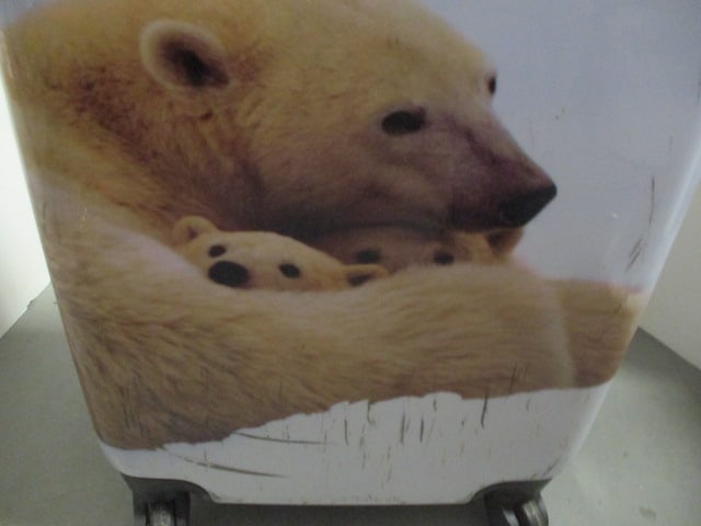 Polar Bear Med. Size Rolling Suit case National Geographic - 4