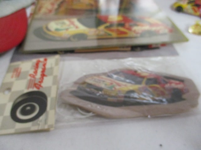 Nascar #5 Collectibles-Hat, Keychain, Ornaments, Photos, Lapel pins - 7