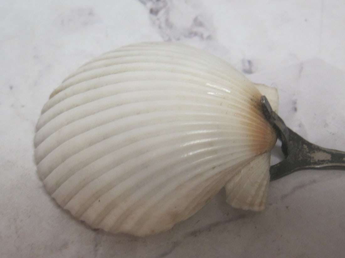 Unusual Art Nouveau Victorian Serving Spoon - 6