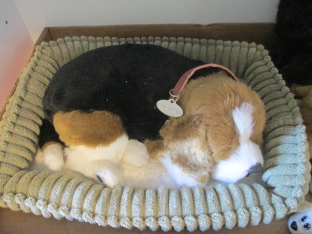 Perfect Petzzz Animated Puppy, Goat Fur Sculpted Black Labrador and Mini Pound Puppies - 3