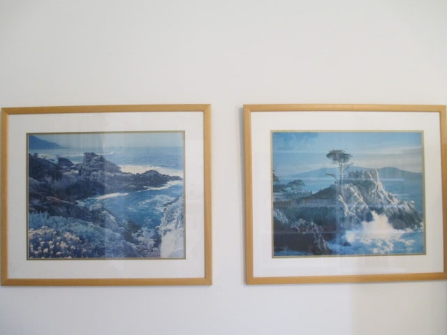 Two Framed and Matted Pacific Coast Cliff Landscape Photo Art: 26 1/2" x 22 1/2", Local Pickup Only 