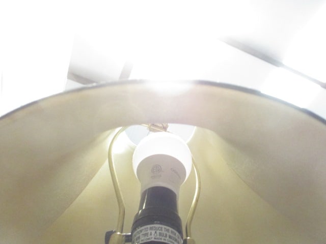 Pair of Sculpted Pineapple Buffet Lamps - 4