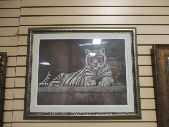 Framed and Matted Regal White Tiger Print (1 of 7)