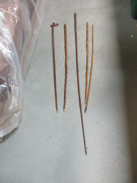 Five Edge Walking Sticks (1 of 7)