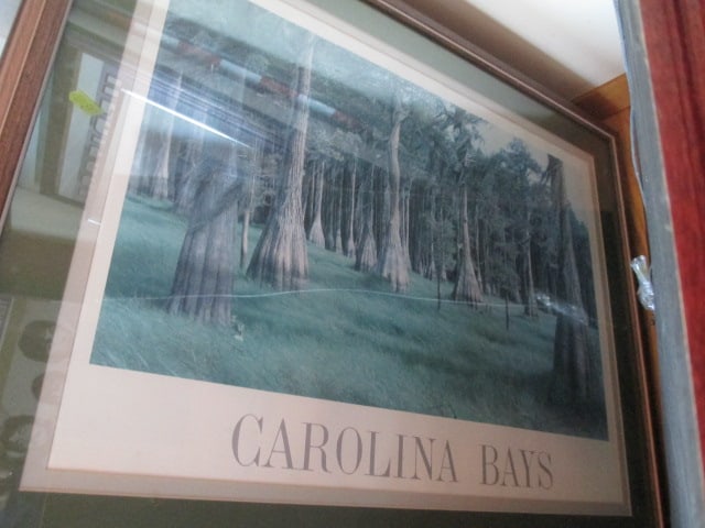 Nice Framed and Matted South Carolina Landscape Prints - 7