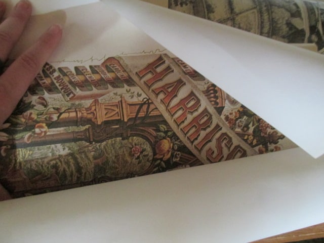 Grouping of Rolled Unframed Art Posters and Prints - 2