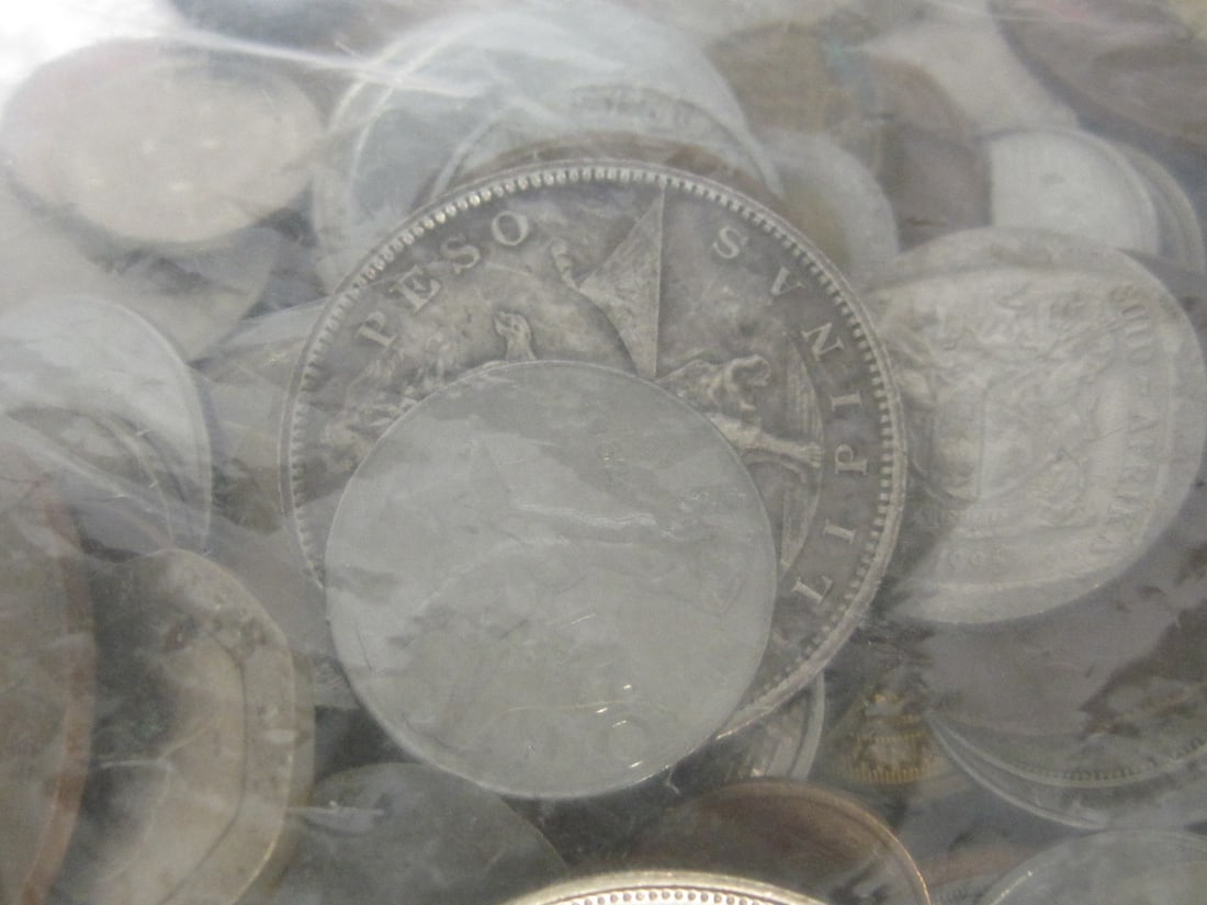 Unsearched Bag of Foreign Coins - 8
