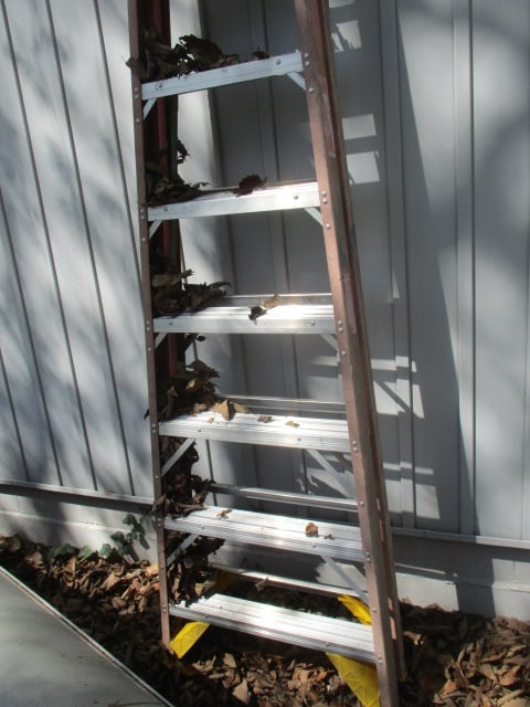 Werner 10' Fiberglass Ladder - 2