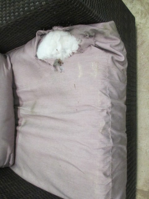 Pair of Woodard Woven Resin Patio Chairs - 11