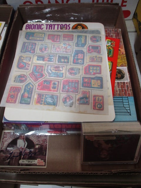 Bionic Woman & Lindsay Wagner Memorabilia: See all pictures
