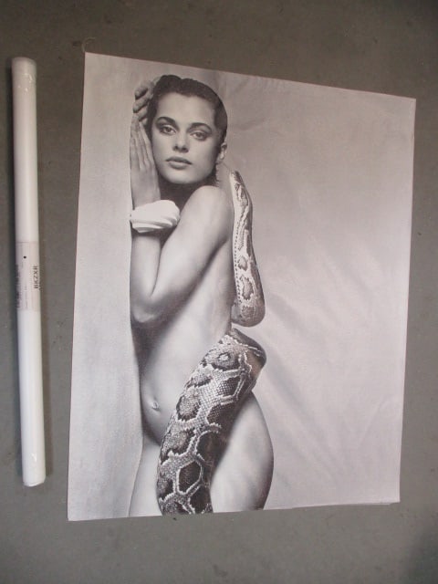 Nastassia Kinski & The Serpent (Lot of 2) Canvas Prints: 28 x 22 (1 is framed & 1 is in tube)