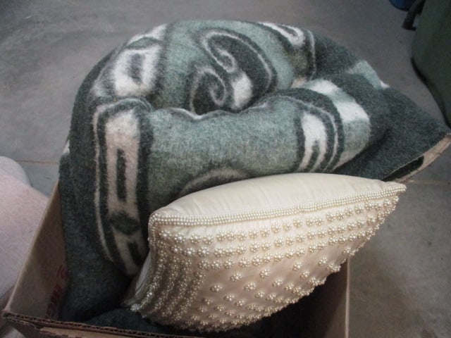 Blanket & Pillows - 2