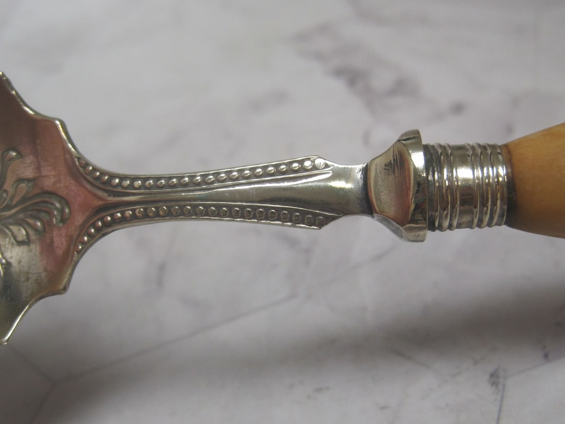 Victorian Antler Handled Jam or Jelly Spoon - 3