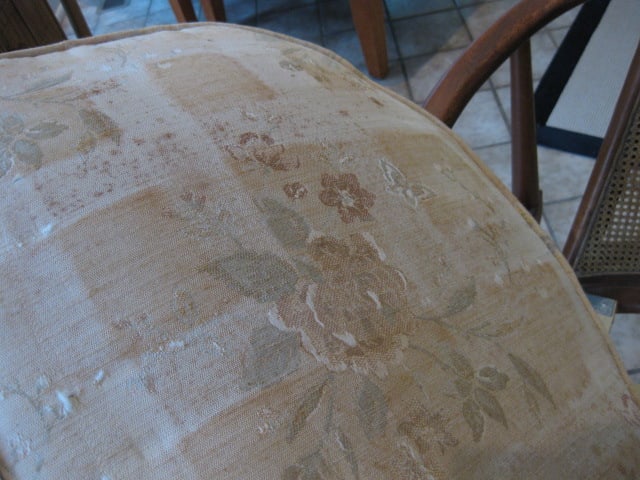 Midcentury Barrel Back Armchair with Caned Back - 7