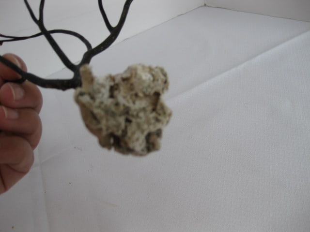 Old Natural Driftwood Pieces and Signed Painted Lichen - 10
