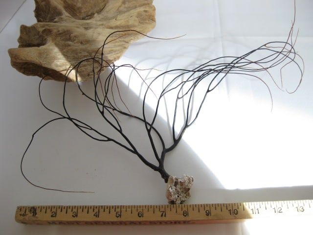 Old Natural Driftwood Pieces and Signed Painted Lichen - 11