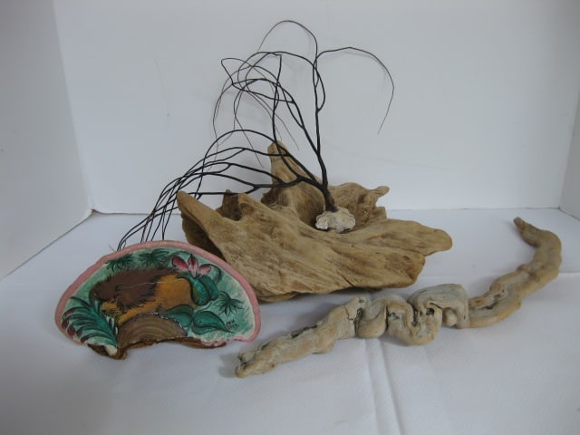 Old Natural Driftwood Pieces and Signed Painted Lichen: .