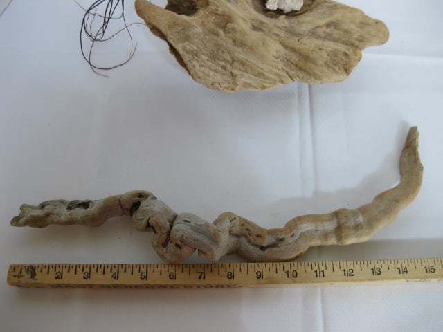 Old Natural Driftwood Pieces and Signed Painted Lichen - 5