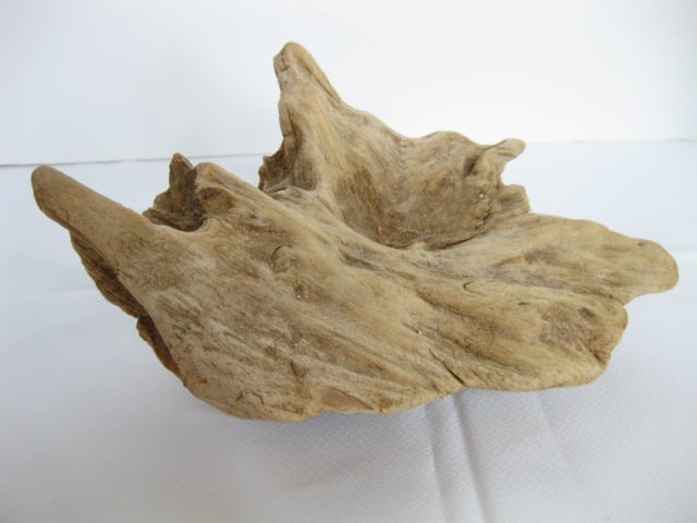 Old Natural Driftwood Pieces and Signed Painted Lichen - 6