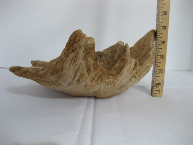 Old Natural Driftwood Pieces and Signed Painted Lichen - 7