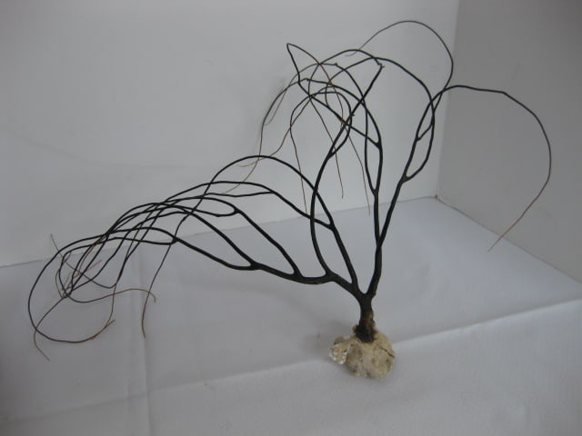 Old Natural Driftwood Pieces and Signed Painted Lichen - 9